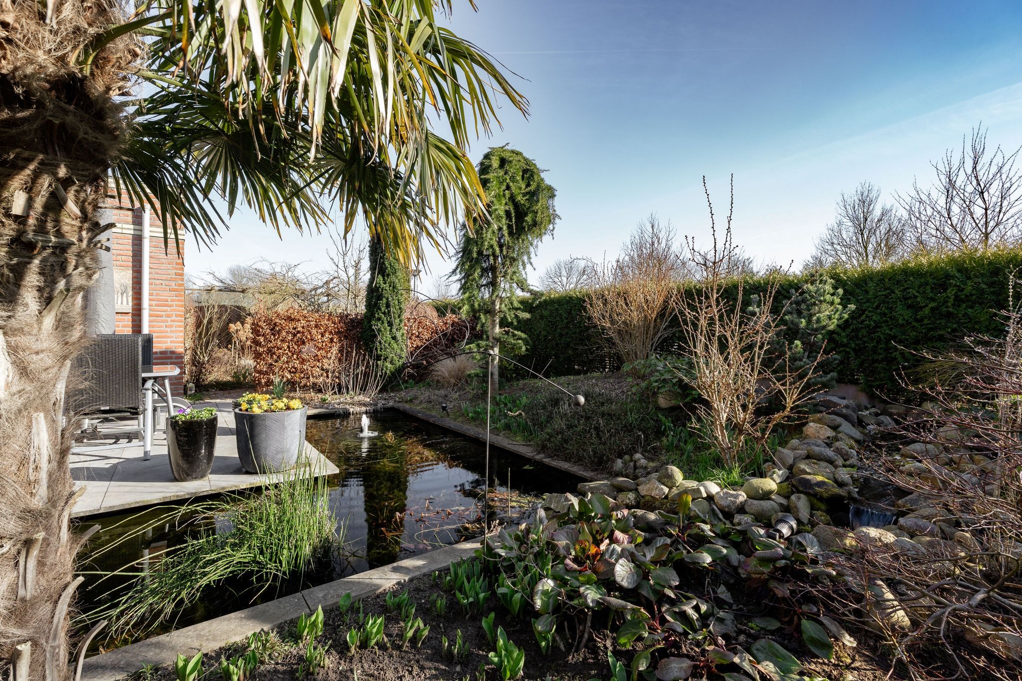 Foto 42 van Galjoen 10 1