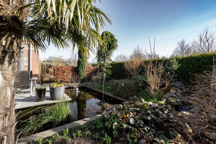 Foto 42 van Galjoen 10 1