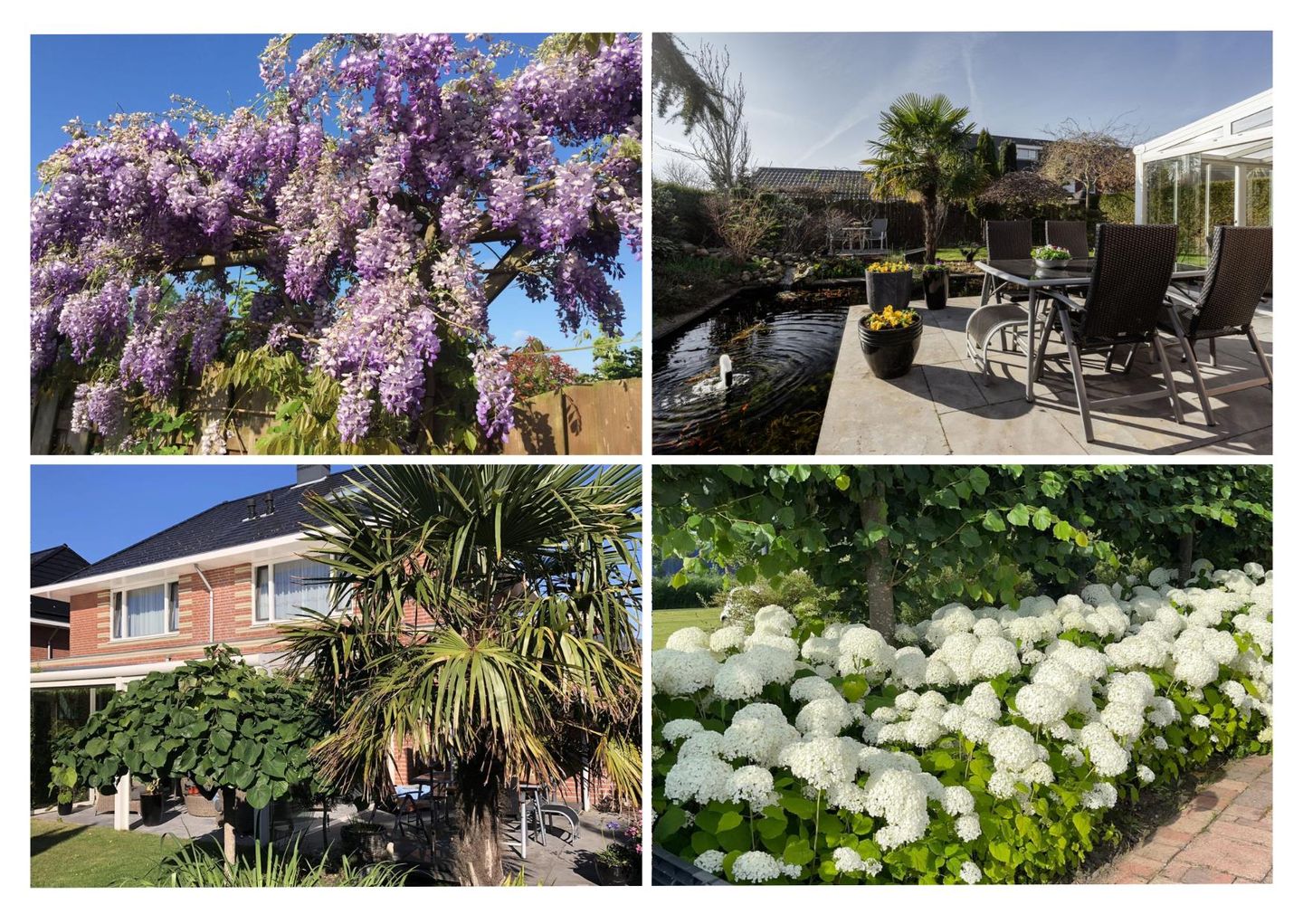 Foto 5 van Galjoen 10 1