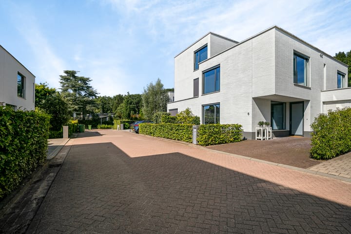 Foto 44 van Bosanemoonstraat 5