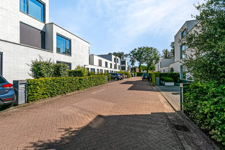 Foto 45 van Bosanemoonstraat 5