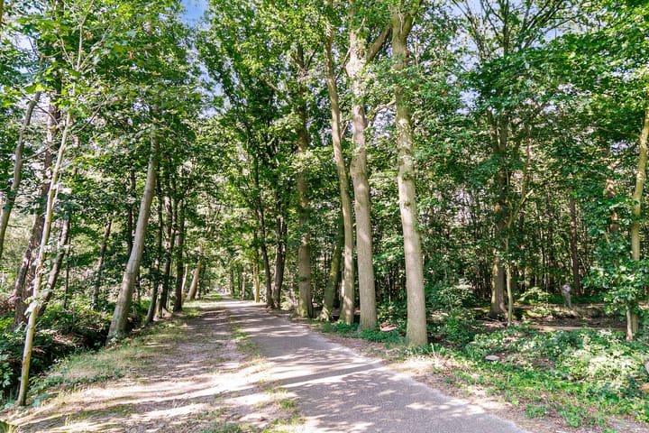 Foto 47 van Bosanemoonstraat 5