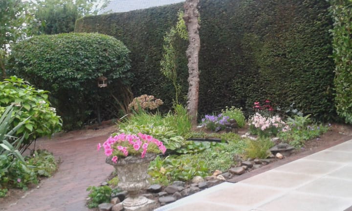 Foto 43 van Meidoorn 72