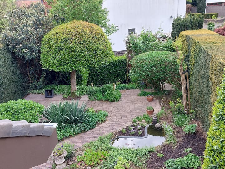 Foto 44 van Meidoorn 72