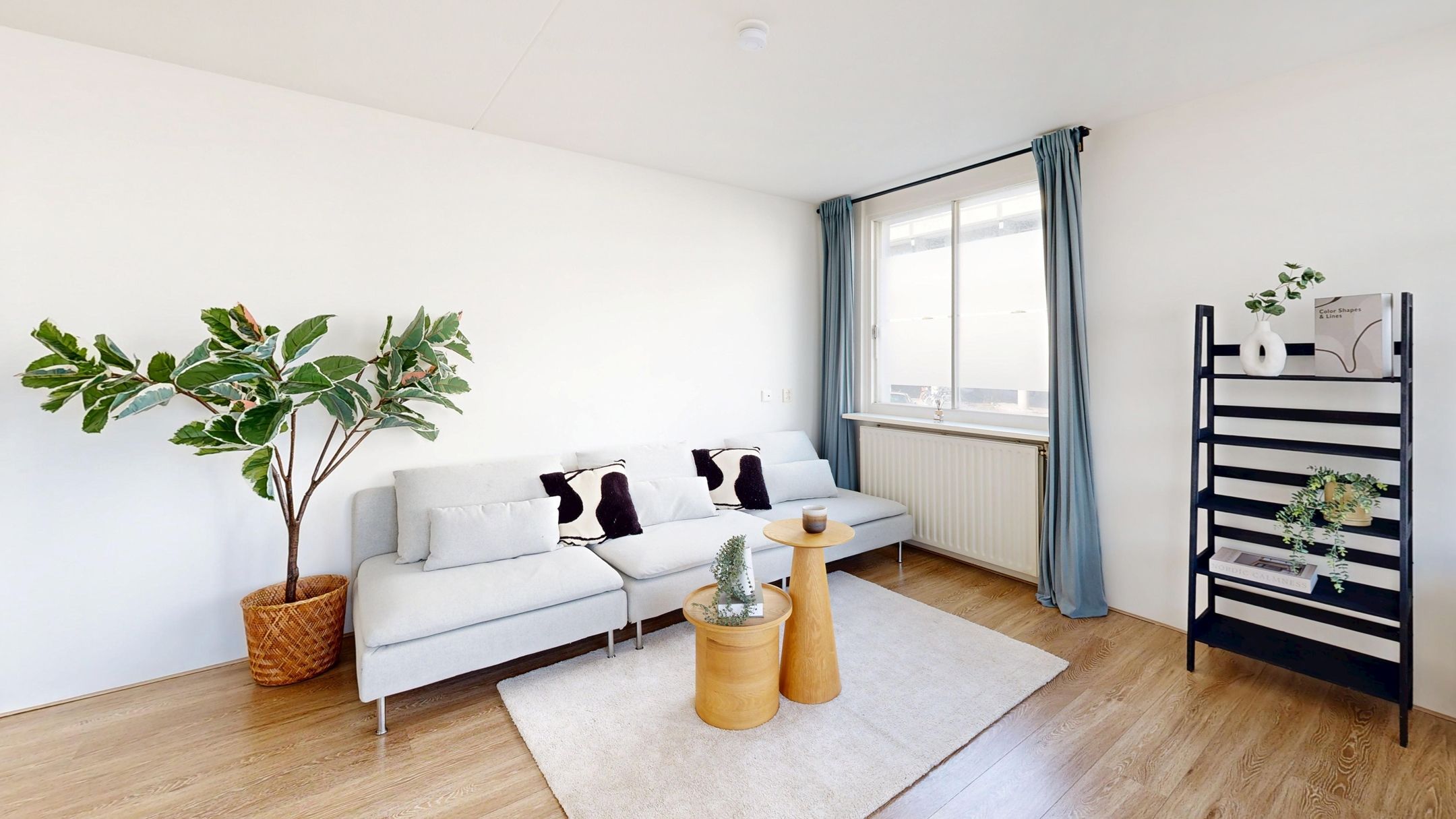 Foto 6 van IJplein 233