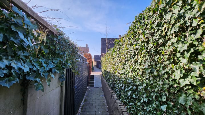 Foto 29 van Cornelis Koningstraat 5-B