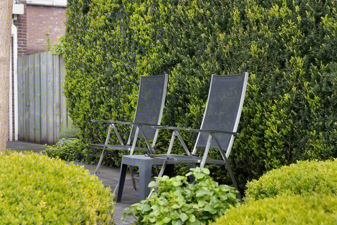 Photo 31 of Plein 42