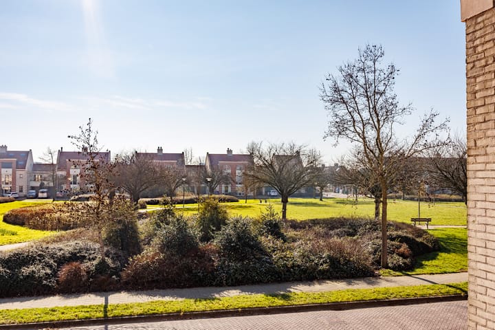 Foto 46 van Bacchus 10