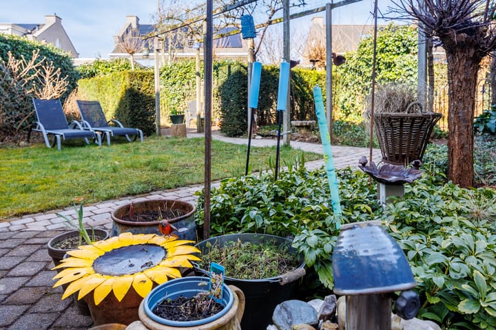 Foto 65 van Bacchus 10