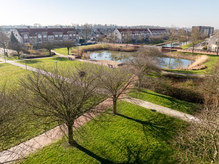 Foto 85 van Bacchus 10