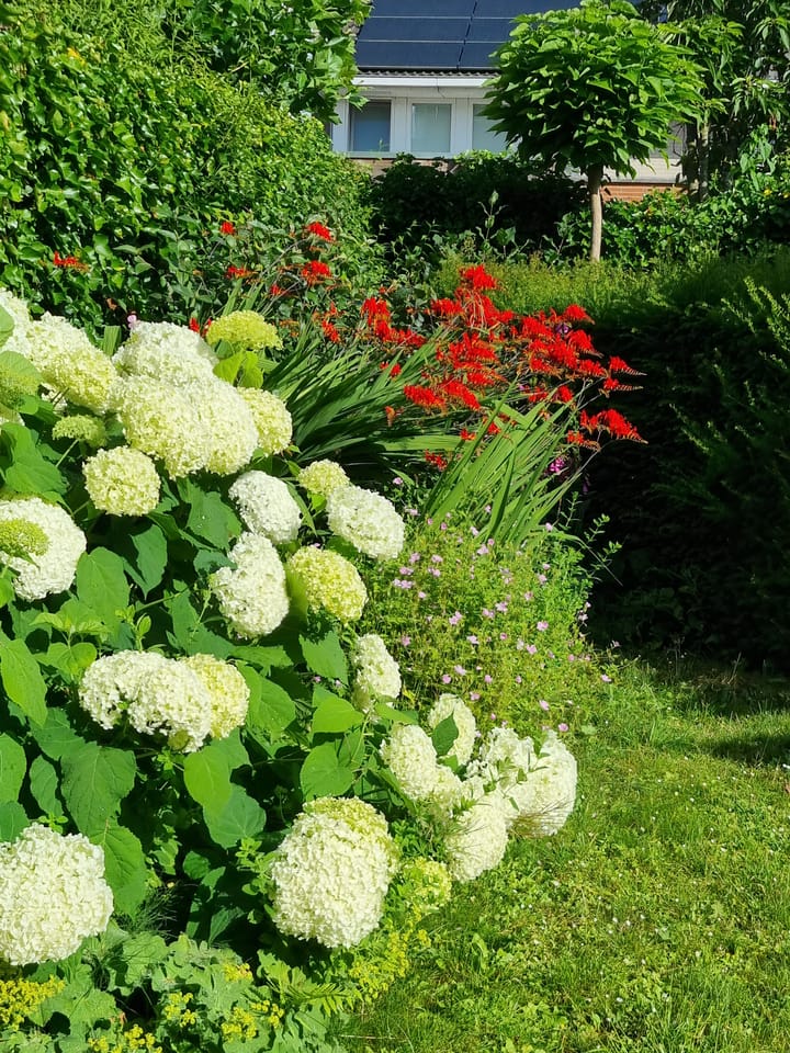 Foto 95 van Bacchus 10