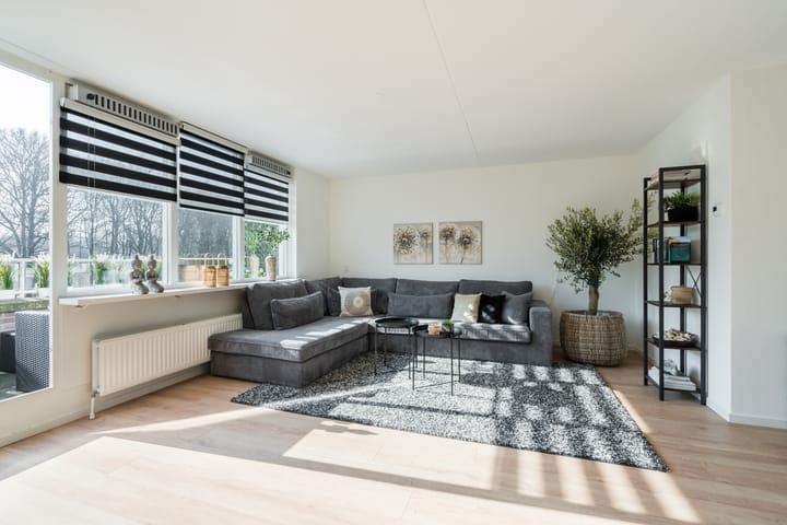 Foto 4 van Goudvink 27