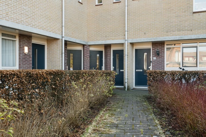 Foto 25 van Goudvink 27