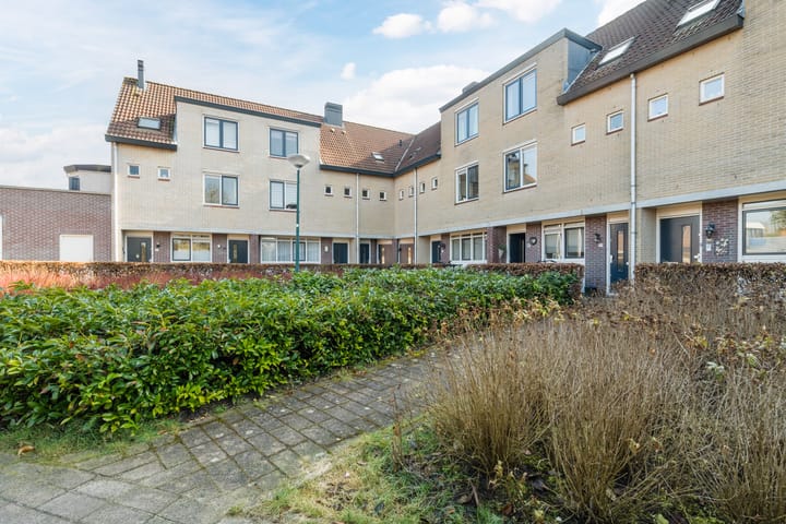 Foto 26 van Goudvink 27