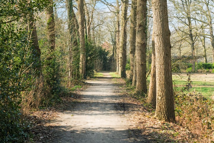 Foto 32 van Goudvink 27