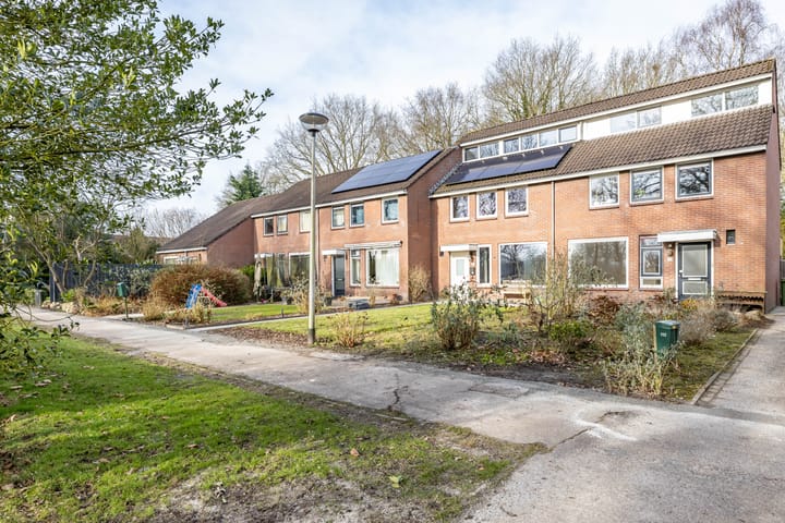 Foto 39 van Laagveld 110