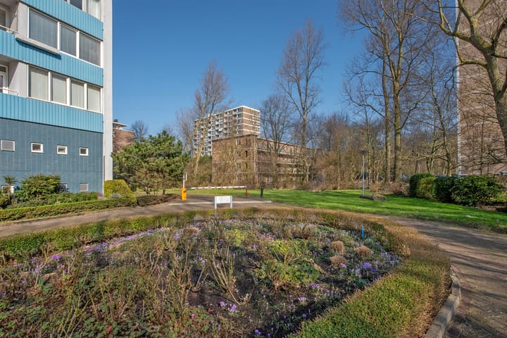 Foto 29 van Ericalaan 187