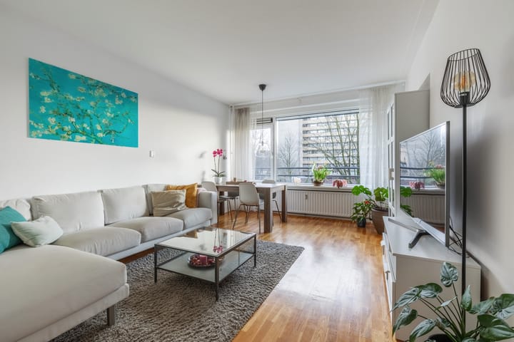 Foto 2 van Langswater 282