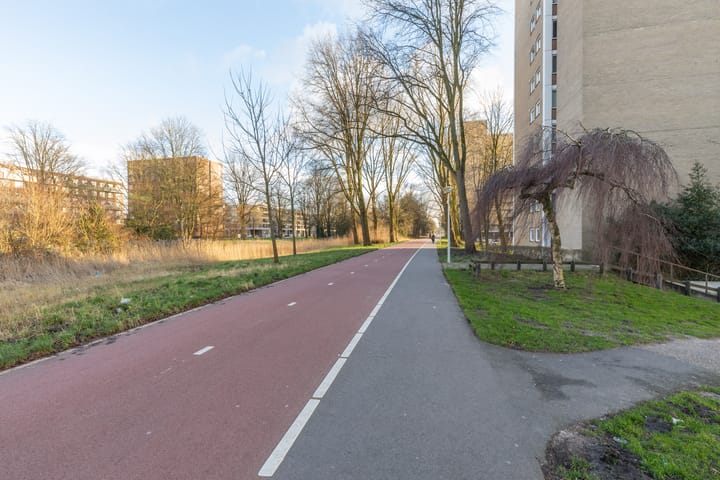 Foto 44 van Langswater 282