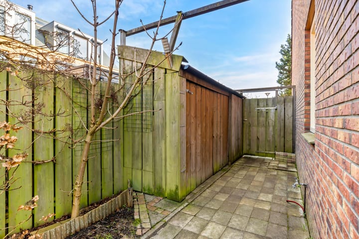 Foto 24 van Obelisk 40