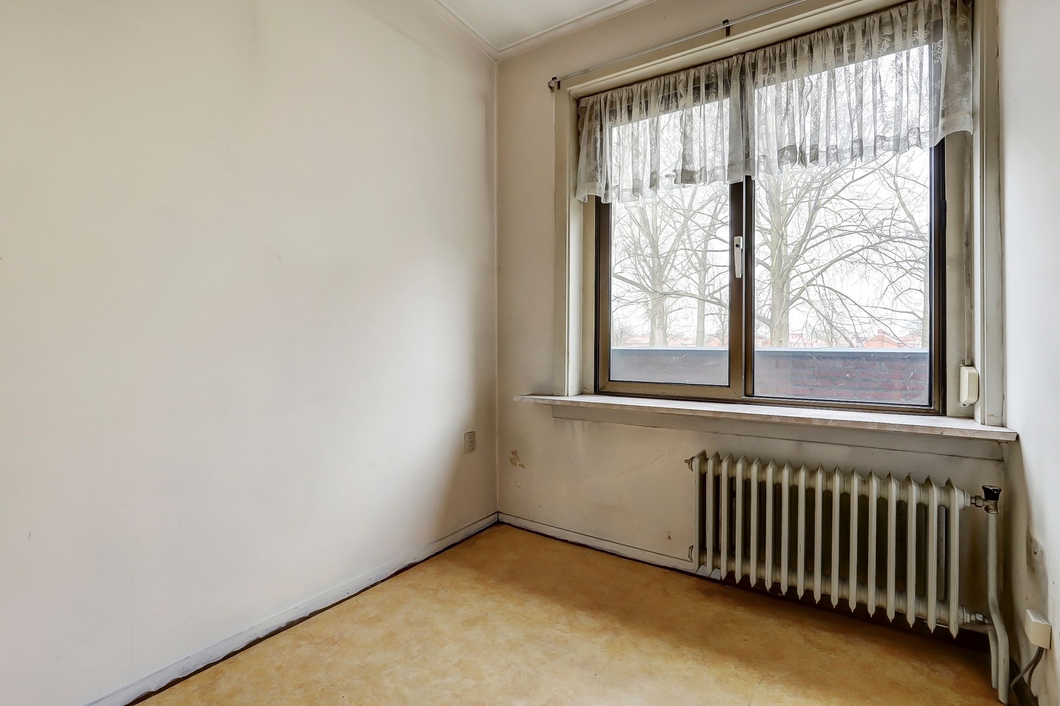 Foto 15 van Dotterlaan 22