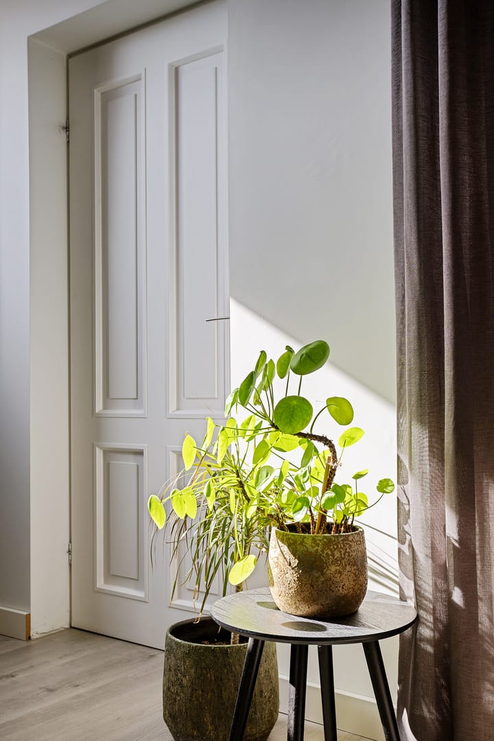 Foto 17 van Druwerbrink 288