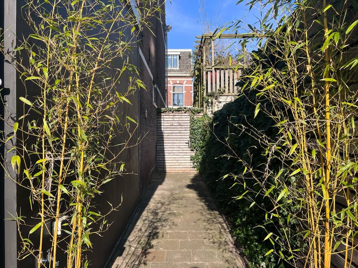 Foto 70 van Langendijkstraat 34