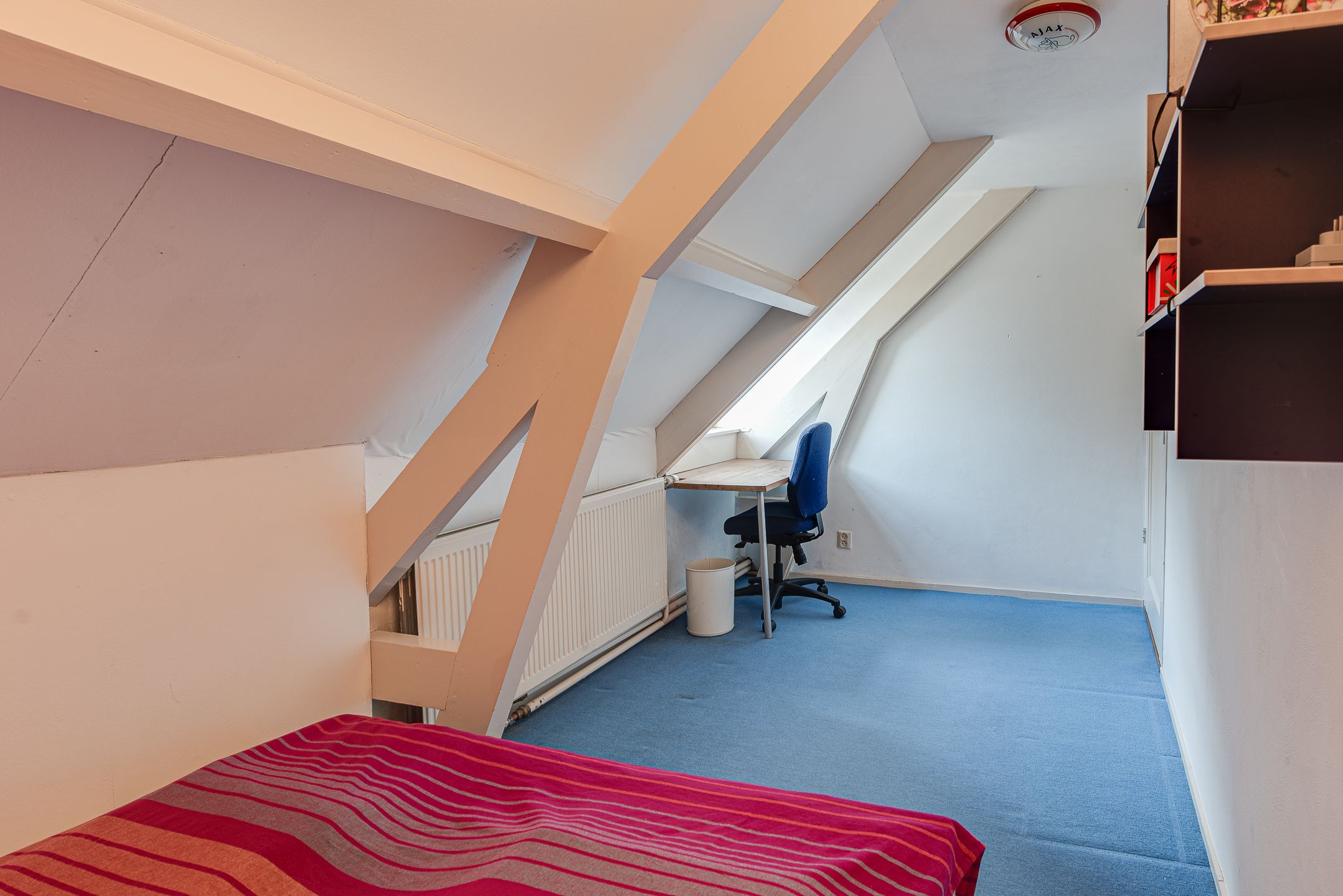 Foto 21 van Nieuw-Loosdrechtsedijk 160