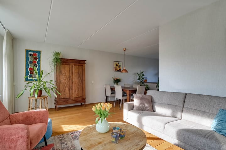 Foto 14 van Ruiter 14