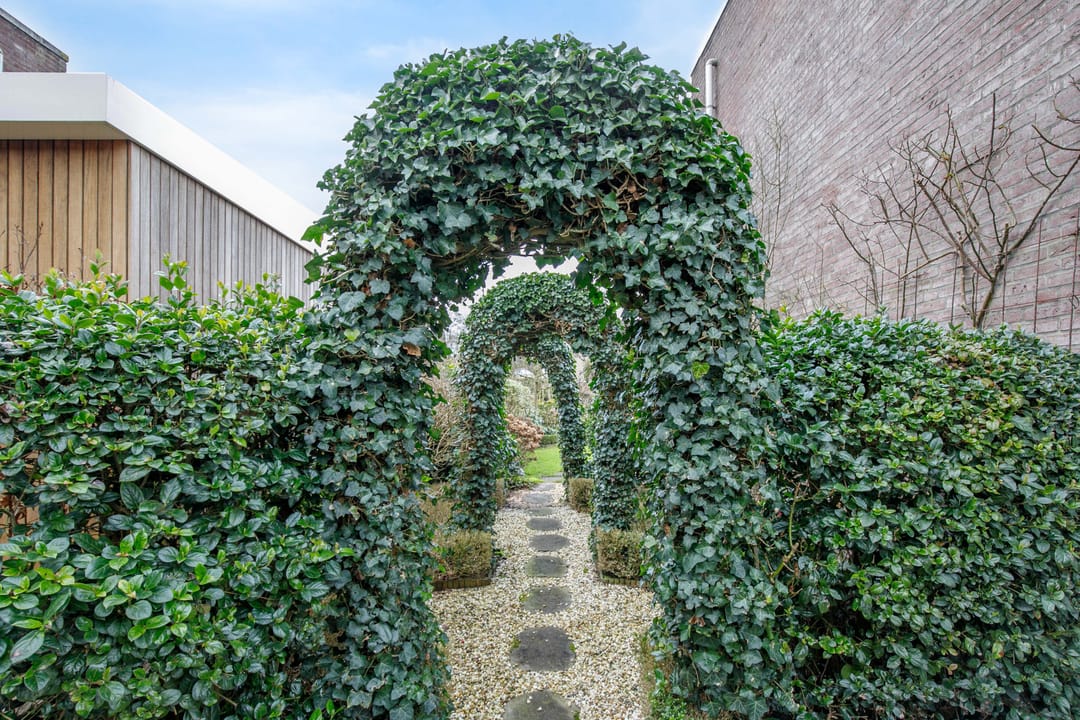 Photo 43 of Ereprijs 21