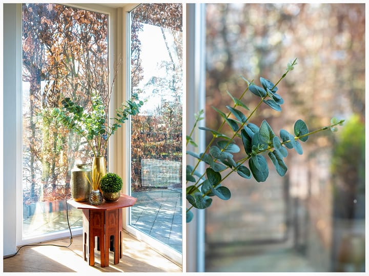 Foto 22 van Zwanebloem 8