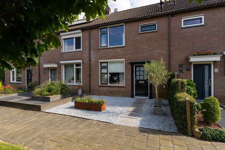 Foto 1 van Vuurdoorn 5