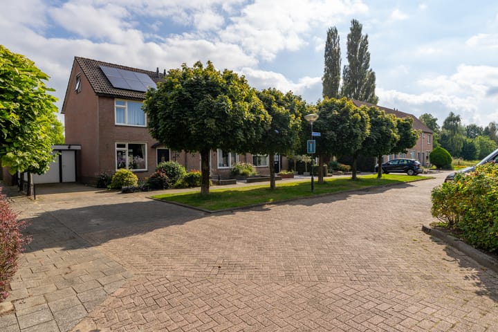 Foto 6 van Vuurdoorn 5