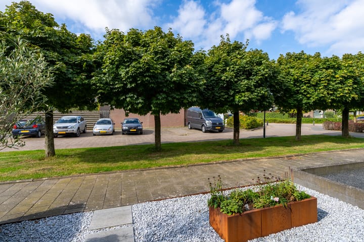 Foto 7 van Vuurdoorn 5