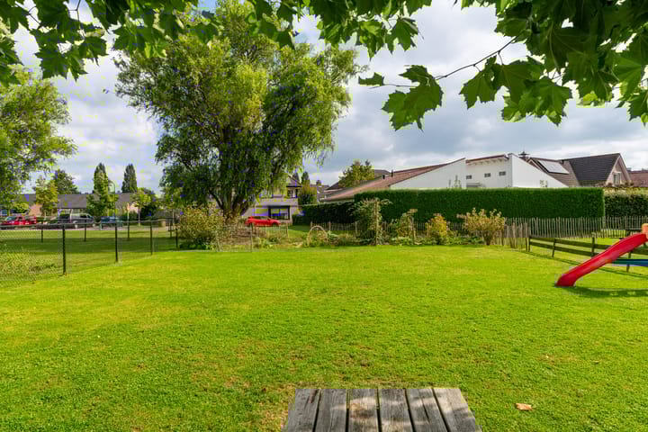 Foto 37 van Vuurdoorn 5