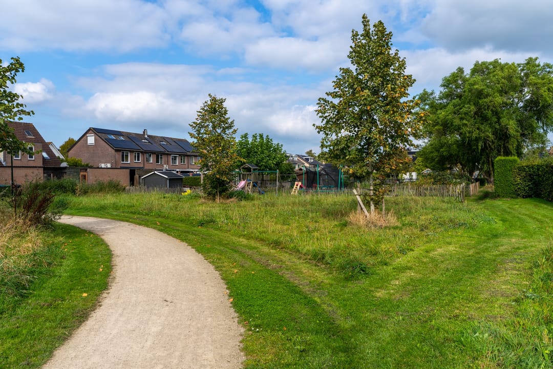 Foto 38 van Vuurdoorn 5