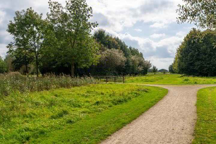 Foto 39 van Vuurdoorn 5