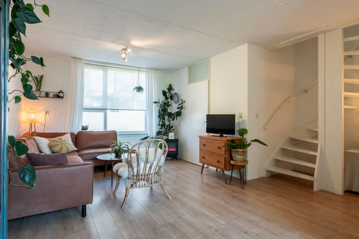 Foto 2 van Sileneweerd 4