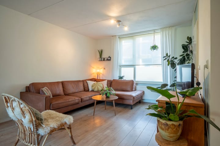 Foto 3 van Sileneweerd 4