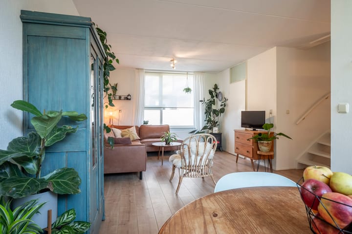 Foto 5 van Sileneweerd 4