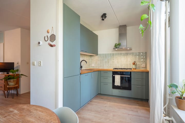 Foto 8 van Sileneweerd 4