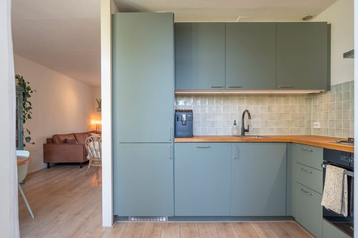 Foto 10 van Sileneweerd 4