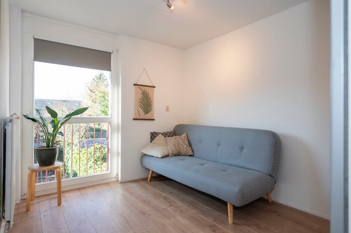 Foto 16 van Sileneweerd 4