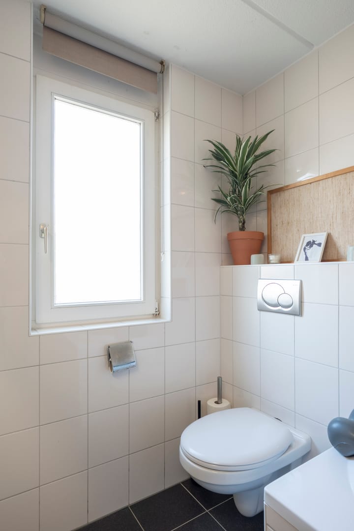 Foto 22 van Sileneweerd 4