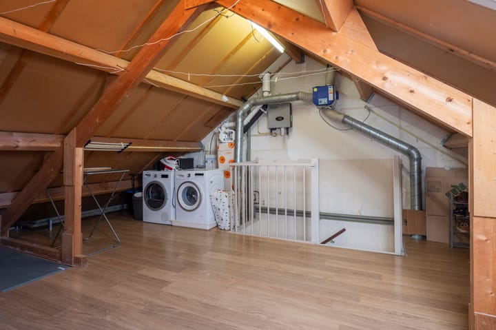 Foto 25 van Sileneweerd 4