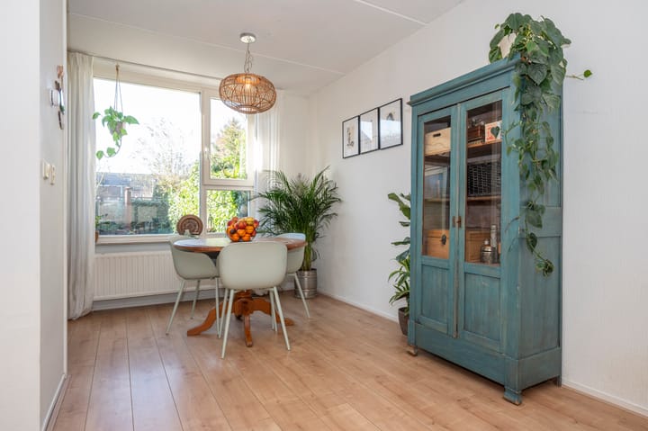 Foto 7 van Sileneweerd 4