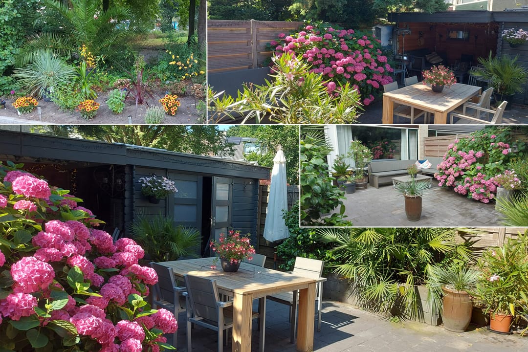 Photo 22 of Karperdaal 35