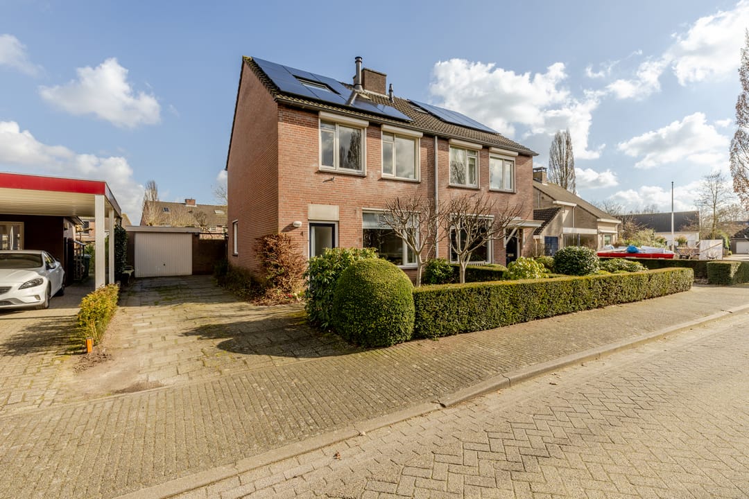 Foto 1 van Vogelkers 4