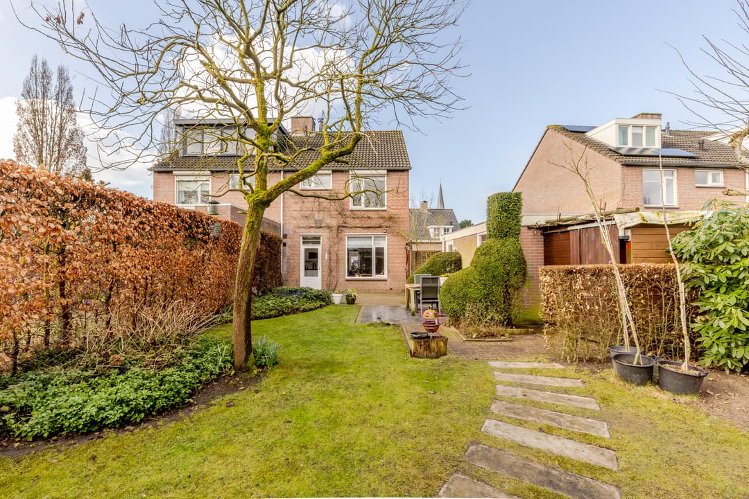 Foto 2 van Vogelkers 4