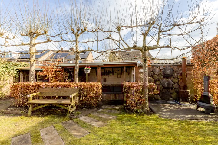 Foto 3 van Vogelkers 4